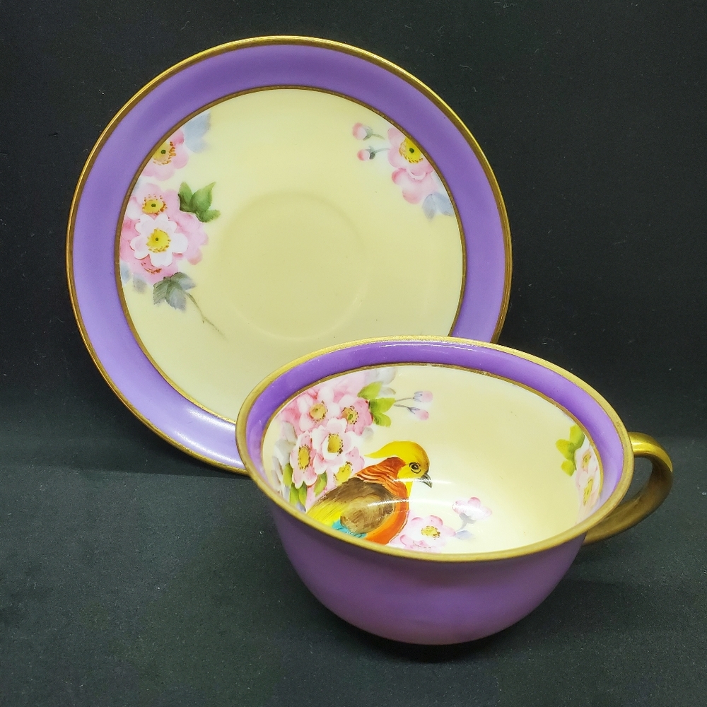 Handpainted Noritake Teacup and Saucer Stunning Unique Gorgeous 😍